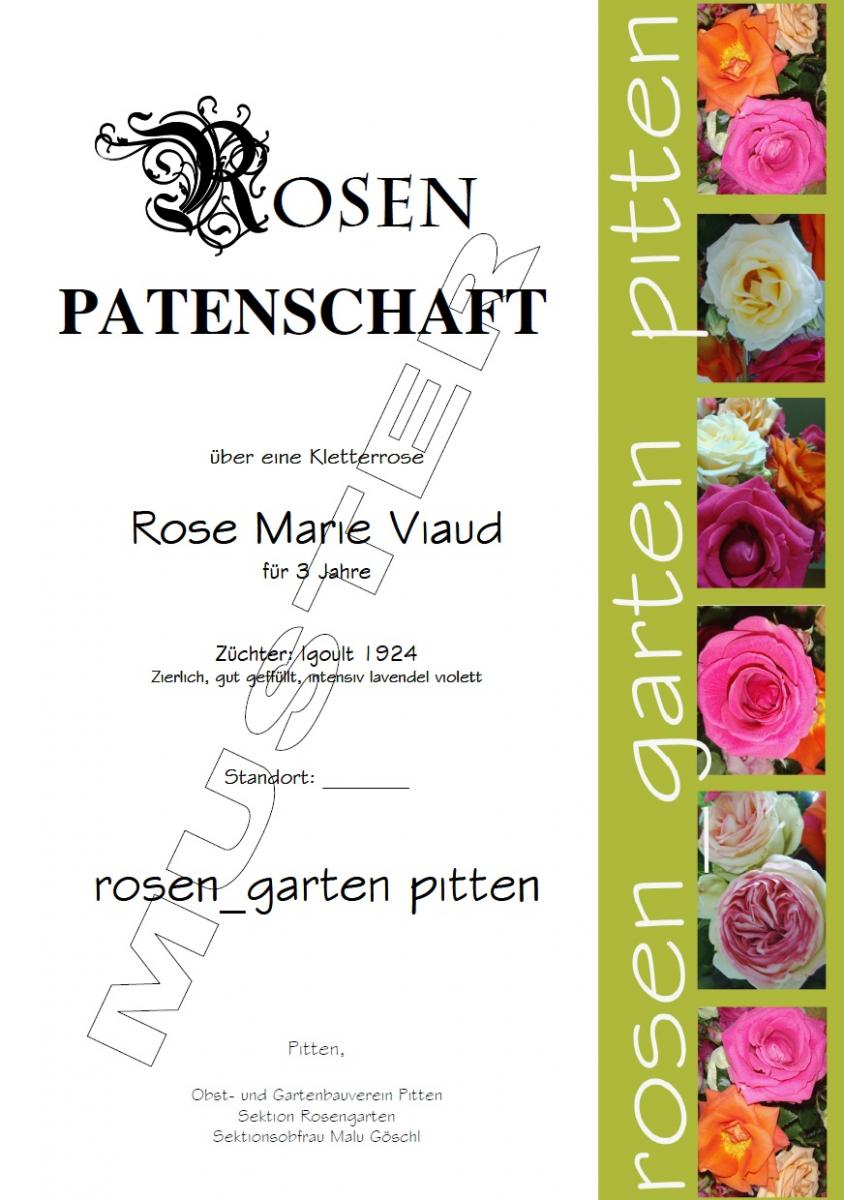 Rosenpatenschaft Muster