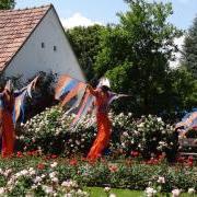 Rosengartenfest 2014